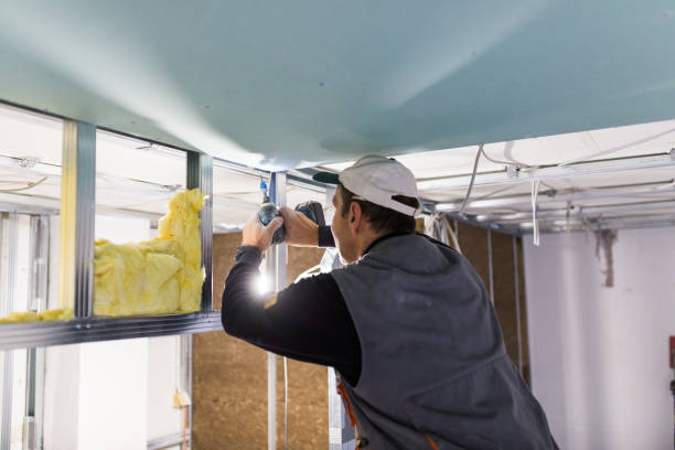 Best Spray Foam Insulation  in Mountain View, NC
