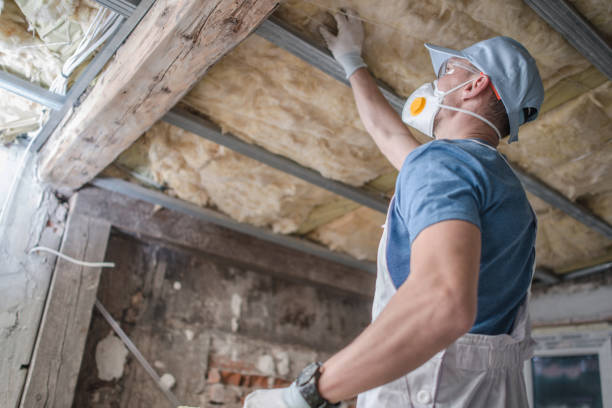 Best Cellulose Insulation  in Mountain View, NC