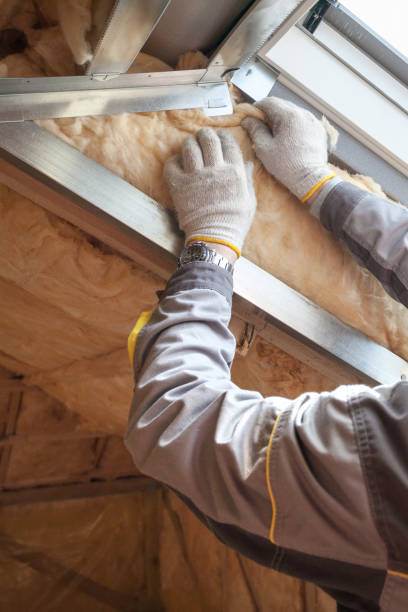 Best Soundproof Insulation Installation  in Mountain View, NC