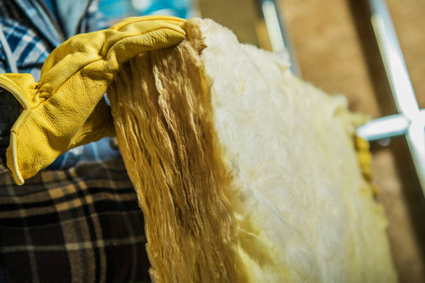 Best Insulation Replacement Services  in Mountain View, NC