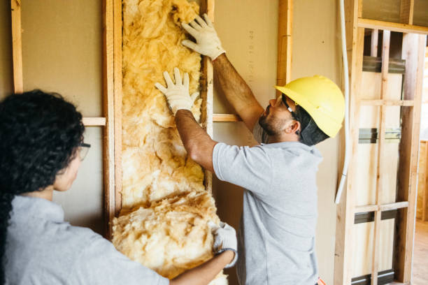 Best Insulation Inspection Services  in Mountain View, NC