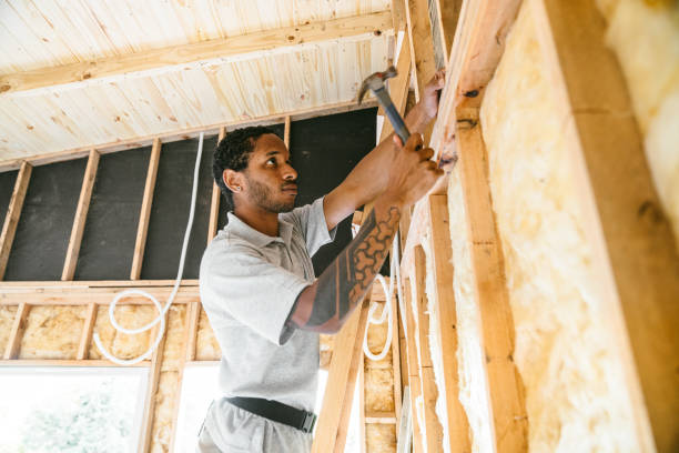 Best Insulation Contractors for Homes  in Mountain View, NC