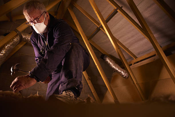 Best Best Insulation Companies  in Mountain View, NC