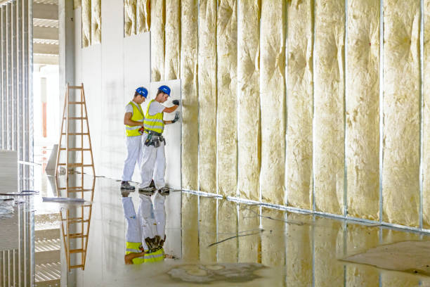 Best Attic Insulation Installation  in Mountain View, NC